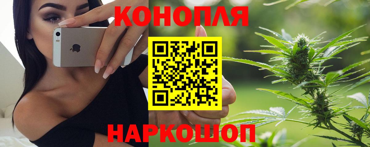 Конопля гибрид  Вход с VPN  Конопля семена  Бошки Шишки семена  Миасс  Канабис AK-47 